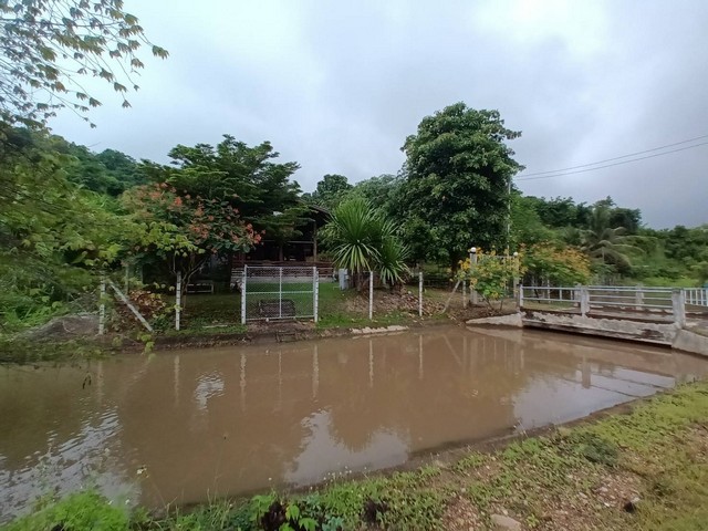 ขายด่วน ที่ดินสวนผลไม้ ติดริมแม่น้ำวาง พร้อมบ้านไม้ 1 หลัง บรรยากาศร่มรื่น อำเภอแม่วาง จังหวัดเชียงใหม่