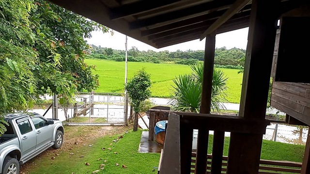 ขายด่วน ที่ดินสวนผลไม้ ติดริมแม่น้ำวาง พร้อมบ้านไม้ 1 หลัง บรรยากาศร่มรื่น อำเภอแม่วาง จังหวัดเชียงใหม่