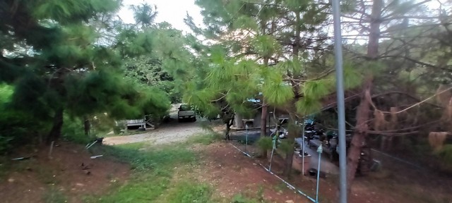 ขายด่วน ที่ดินสวนผลไม้ ติดริมแม่น้ำวาง พร้อมบ้านไม้ 1 หลัง บรรยากาศร่มรื่น อำเภอแม่วาง จังหวัดเชียงใหม่