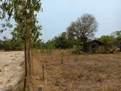 ขายที่ดินเปล่า 4-0-53.9 ไร่ หน้ากว้าง 145 เมตร ลึก 82 เมตร เหมาะแก่การทำที่อยู่อาศัย