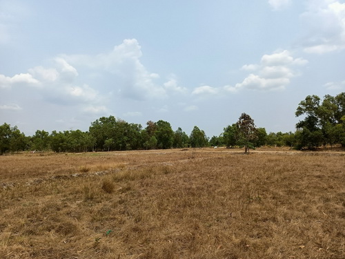 ขายที่ดินเปล่า 4-0-53.9 ไร่ หน้ากว้าง 145 เมตร ลึก 82 เมตร เหมาะแก่การทำที่อยู่อาศัย