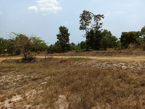 ขายที่ดินเปล่า 4-0-53.9 ไร่ หน้ากว้าง 145 เมตร ลึก 82 เมตร เหมาะแก่การทำที่อยู่อาศัย