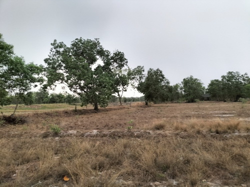 ขายที่ดินเปล่า 4-0-53.9 ไร่ หน้ากว้าง 145 เมตร ลึก 82 เมตร เหมาะแก่การทำที่อยู่อาศัย