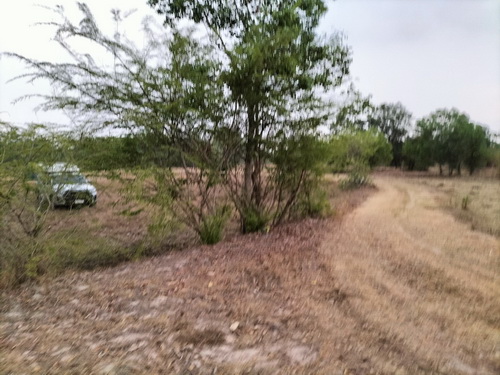 ขายที่ดินเปล่า 4-0-53.9 ไร่ หน้ากว้าง 145 เมตร ลึก 82 เมตร เหมาะแก่การทำที่อยู่อาศัย