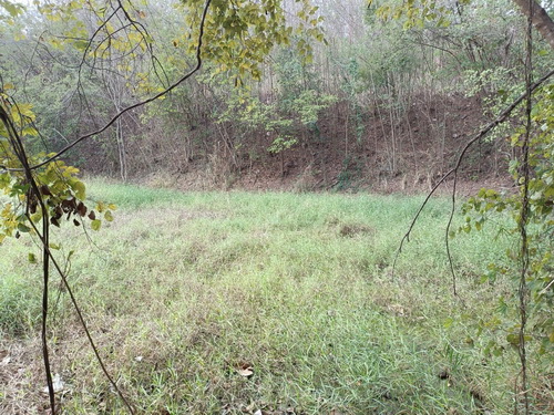 ขายที่ดิน 7-0-99.8 ไร่ ที่ดินปลูกต้นสักทองอายุ 10 ปี หน้ากว้าง 109 เมตร ลึก 184  เมตร