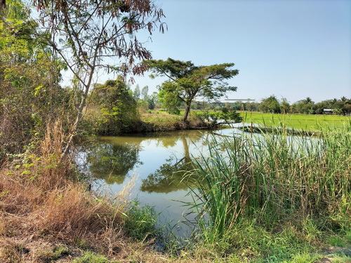 ขายที่ดินสวยแปลงใหญ่ 9 ไร่ ทำเลดี อยู่ใกล้ชุมชน หน้ากว้าง 19 เมตร ลึก 227 เมตร