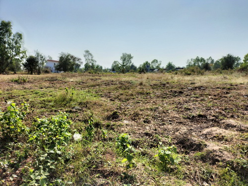 ขายที่ดินสวยแปลงใหญ่ 9 ไร่ ทำเลดี อยู่ใกล้ชุมชน หน้ากว้าง 19 เมตร ลึก 227 เมตร