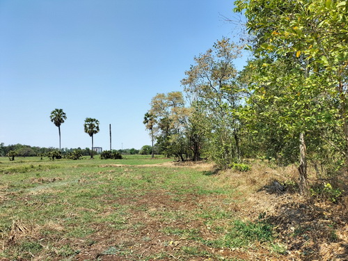 ขายที่ดินเปล่า 14-0-24 ไร่ทำเลดี อยู่ในละแวกชุมชน หน้ากว้าง 110เมตร ลึก 218 เมตร