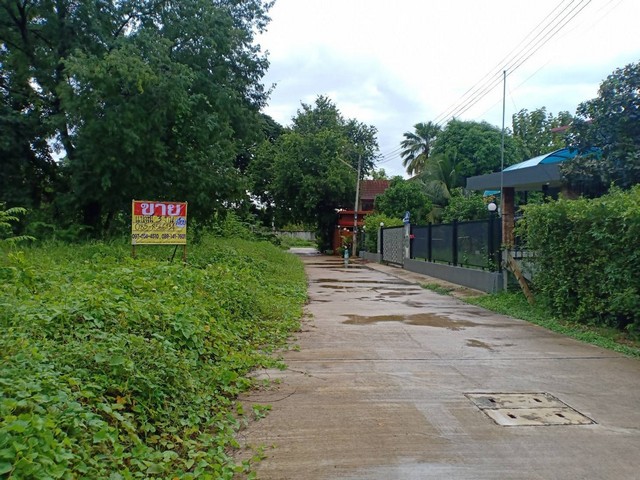 ขายด่วนที่ดินสวย 300 ตารางวา ในเทศบาลนครเมือง จ.พิษณุโลก   ZK198  