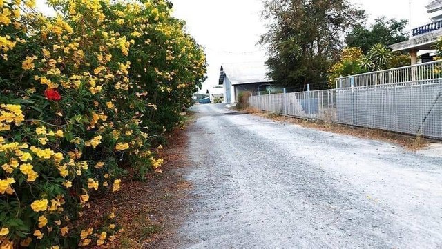 ให้เช่าโกดังผังสีชมพู รับน้ำหนักได้ 25 ตัน พร้อมออฟฟิศ 640 ตร.ม. ติดถนนใหญ่ 4 เลน อ.เมือง ถ.บ้านแพ้ว-นครปฐม 