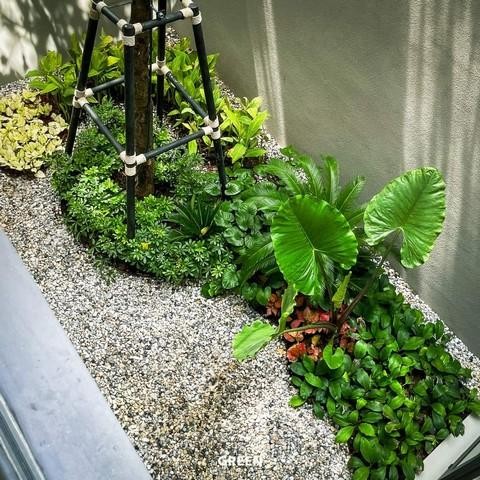 ให้เช่าบ้านโครงการหรู หมู่บ้าน Bugaan Pattanakarn สไตล์ Modern Luxury พร้อมลิฟต์แก้วและสระว่ายน้ำในตัว