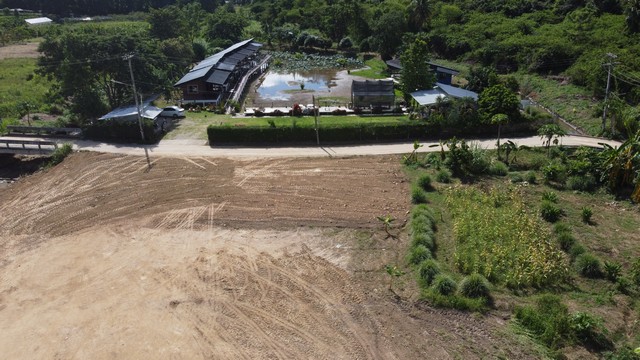 ที่ดิน -  ใหญ่ 2 ไร่ 2 งาน 50 ตร.วา 3500000 B.   ทำเลดี-เยี่ยม