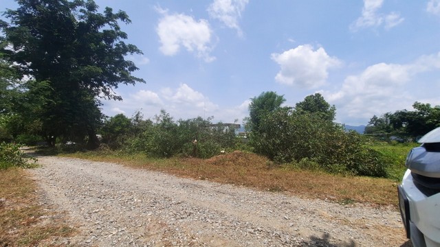 ที่ดิน - 162 ตร.วา  600000 - ใกล้กับ ตลาดบ้านกาด ราคาทรัพย์ถูก เชียงใหม่   