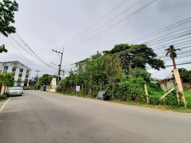 พื้นที่ดิน - ขนาด = 335 Square Wah 0 ngan 0 Rai  8375000 B. ไม่ไกลจาก มหาวิทยาลัยแม่โจ้ ราคาดีเยี่ยม ที่ดินติดถนนผังสีแดง