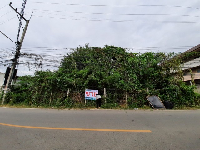 พื้นที่ดิน - ขนาด = 335 Square Wah 0 ngan 0 Rai  8375000 B. ไม่ไกลจาก มหาวิทยาลัยแม่โจ้ ราคาดีเยี่ยม ที่ดินติดถนนผังสีแดง