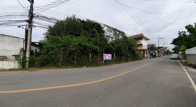 พื้นที่ดิน - ขนาด = 335 Square Wah 0 ngan 0 Rai  8375000 B. ไม่ไกลจาก มหาวิทยาลัยแม่โจ้ ราคาดีเยี่ยม ที่ดินติดถนนผังสีแดง