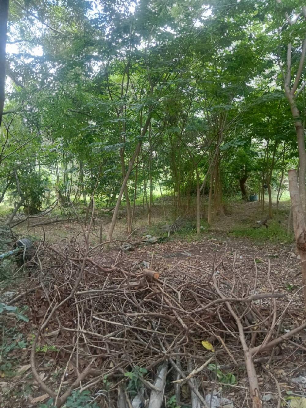 ให้เช่าโรงงานพร้อมใบ ร.ง.4 พื้นที่อาคาร 2,000 ตร.ม.  ถ.ปู่เจ้าสมิงพราย พื้นที่สีม่วง อำเภอพระประแดง สมุทรปราการ