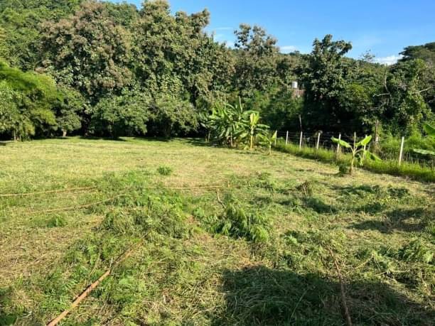 โซนหางดง ขายที่ดิน 6 ล้าน 1 ไร่ 2 งาน 16 ตรว. #บ้านปง #วิวสวย ทางเข้าเป็นถนนคอนกรีต