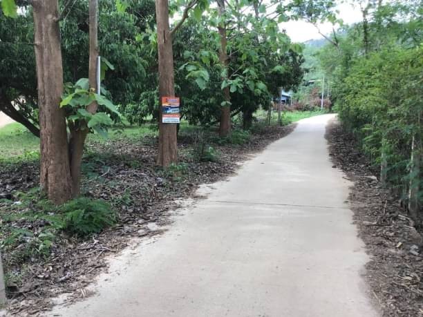 โซนหางดง ขายที่ดิน 6 ล้าน 1 ไร่ 2 งาน 16 ตรว. #บ้านปง #วิวสวย ทางเข้าเป็นถนนคอนกรีต