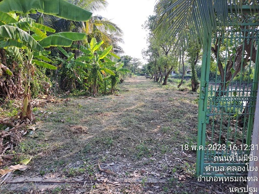 ขายที่ดิน ใน คลองโยง, พุทธมณฑล นครปฐม หลัง ม.สวนสุนันทา นครปฐม