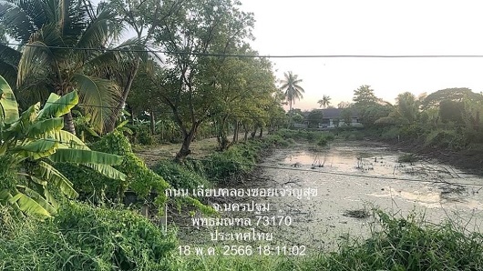 ขายที่ดิน ใน คลองโยง, พุทธมณฑล นครปฐม หลัง ม.สวนสุนันทา นครปฐม