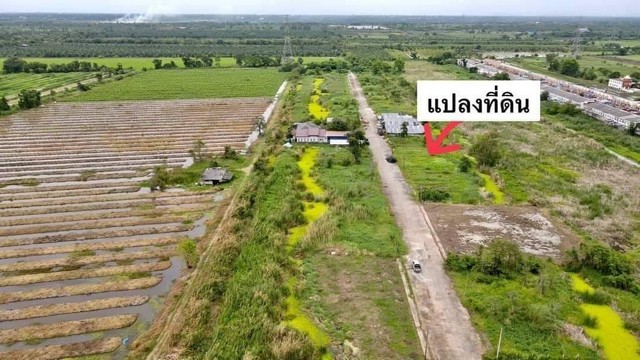 คลอง9 ธัญบุรี(ซ.ต้นไม้ใหญ่) ใกล้ถนนใหญ่รังสิตนครนายก 900 เมตร 1 ไร่