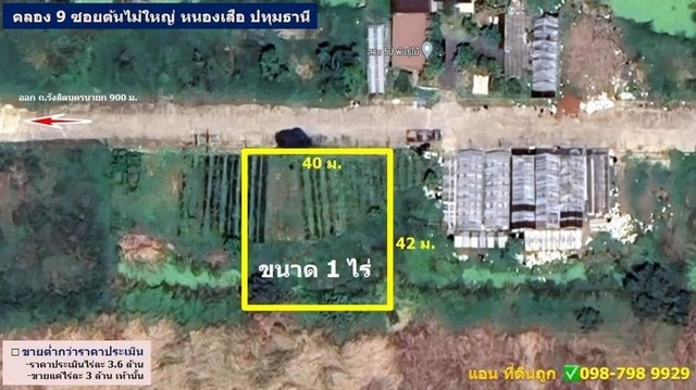 คลอง9 ธัญบุรี(ซ.ต้นไม้ใหญ่) ใกล้ถนนใหญ่รังสิตนครนายก 900 เมตร 1 ไร่