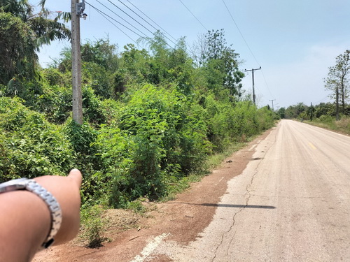 ขายที่ดิน 4-0-14 ไร่ ทำเลดี หน้ากว้าง 53.7 เมตร ลึก 136.4 เมตร ทำเลดี ใกล้แหล่งชุมชน 