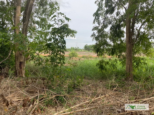 ขายที่ดิน 4-0-14 ไร่ ทำเลดี หน้ากว้าง 53.7 เมตร ลึก 136.4 เมตร ทำเลดี ใกล้แหล่งชุมชน 