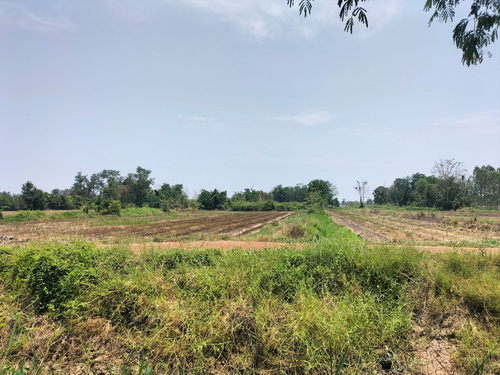 ขายที่ดิน 4-0-14 ไร่ ทำเลดี หน้ากว้าง 53.7 เมตร ลึก 136.4 เมตร ทำเลดี ใกล้แหล่งชุมชน 