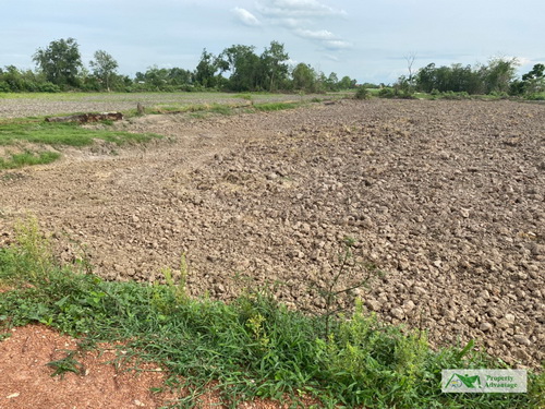 ขายที่ดิน 4-0-14 ไร่ ทำเลดี หน้ากว้าง 53.7 เมตร ลึก 136.4 เมตร ทำเลดี ใกล้แหล่งชุมชน 