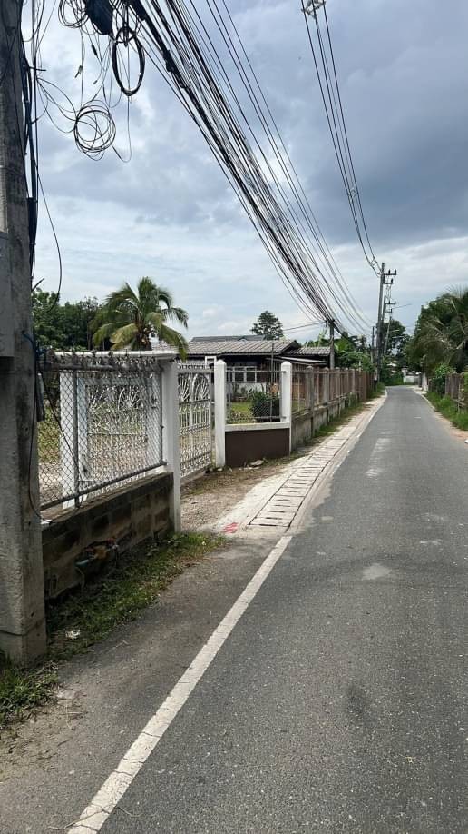 เหมาะสำหรับลงทุนและทำพูลวิลล่า ขายที่ดิน 16 ล้าน เนื้อที่ 594 ตรว. #โซนฟ้าฮ่าม #อำเภอเมือง #ใกล้ตลาดขะจาว า #ใกล้กาดบะป๊าว #ใกล้รวมโชค