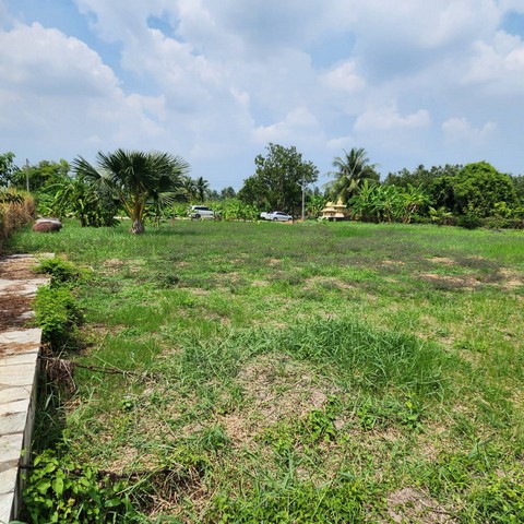 ขาย SALE พื้นที่ดิน - area 558 SQ.WA 19000000 บ. ใกล้ โรงพยาบาลวัดไร่ขิง วัดไร่ขิง บ้านวังพรม BIG SALE