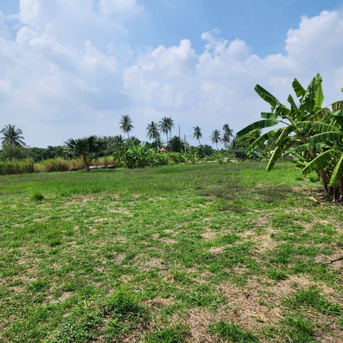 ขาย SALE พื้นที่ดิน - area 558 SQ.WA 19000000 บ. ใกล้ โรงพยาบาลวัดไร่ขิง วัดไร่ขิง บ้านวังพรม BIG SALE