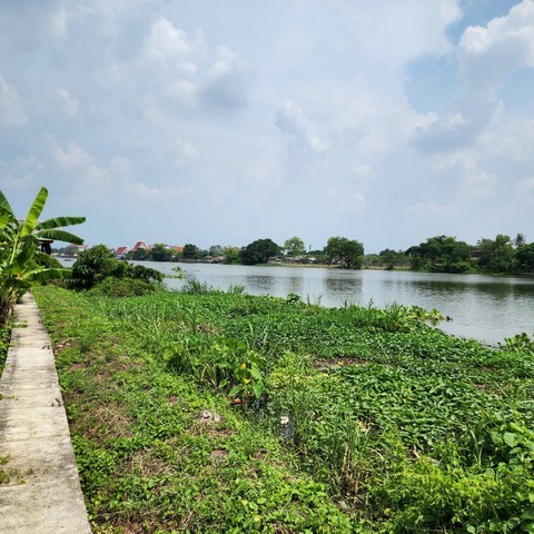 ขาย SALE พื้นที่ดิน - area 558 SQ.WA 19000000 บ. ใกล้ โรงพยาบาลวัดไร่ขิง วัดไร่ขิง บ้านวังพรม BIG SALE