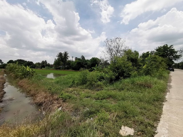 ที่ดินคลอง11 ลำลูกกา (ฝั่งตะวันออก)  3 ไร่ 227 ตร.ว ด้านหน้าติดถนน หลังติดคลอง