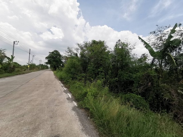 ที่ดินคลอง11 ลำลูกกา (ฝั่งตะวันออก)  3 ไร่ 227 ตร.ว ด้านหน้าติดถนน หลังติดคลอง