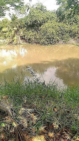 ที่ดินคลอง11 ลำลูกกา (ฝั่งตะวันออก)  3 ไร่ 227 ตร.ว ด้านหน้าติดถนน หลังติดคลอง
