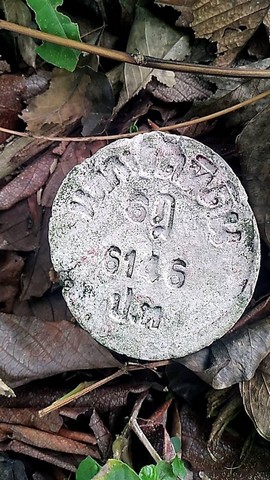 ที่ดินคลอง11 ลำลูกกา (ฝั่งตะวันออก)  3 ไร่ 227 ตร.ว ด้านหน้าติดถนน หลังติดคลอง