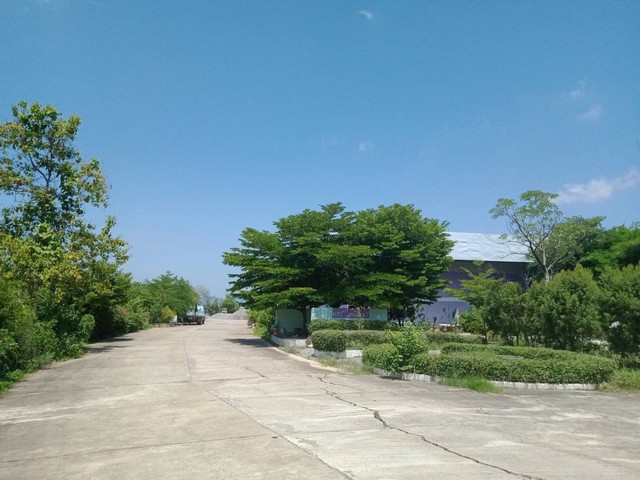 ขายที่ดิน 10 ไร่ 1 งาน พร้อมขายกิจการแพลนปูน ติดถนนสายเอเซียพหลโยธิน ต.หัวดง อ.เมือง จ.นครสวรรค์   ZK185 
