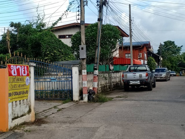 ขายด่วนทาวน์เฮ้าส์ 3 ห้อง พร้อมที่ดิน  1-0-46  ไร่ ต.กุดป่อง อ.เมือง จ.เลย   ZK201