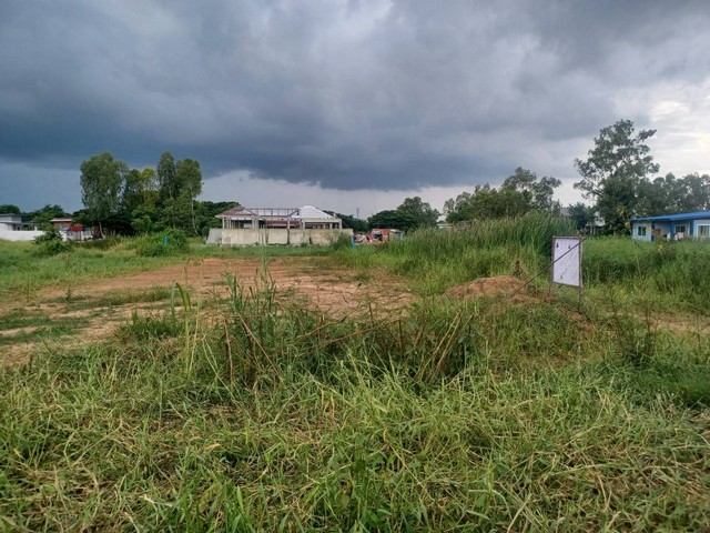 ขายที่ดิน 2 แปลง 96 ตรว. ต.ในเมือง อ.เมือง จ.พิษณุโลก   ZK194
