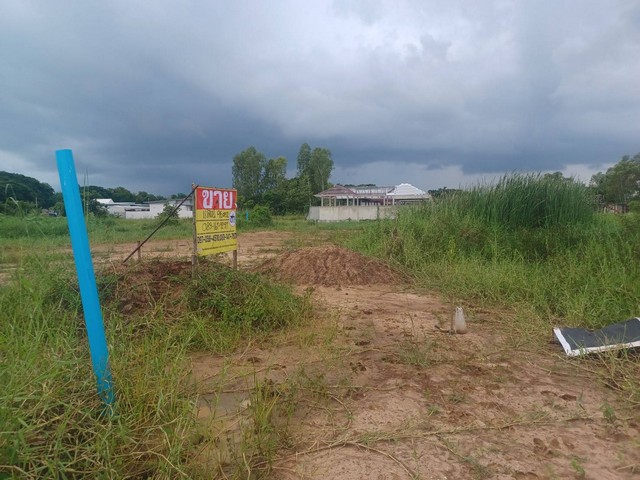 ขายที่ดิน 2 แปลง 96 ตรว. ต.ในเมือง อ.เมือง จ.พิษณุโลก   ZK194