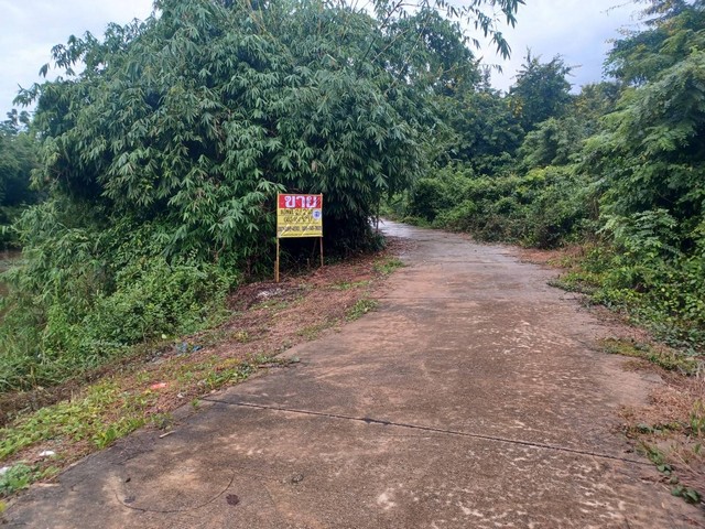 ขายด่วนที่ดินเปล่า  2-2-0  ไร่ ติดกับคลองเมือง   ต.วังพิกุล  อ.วังทอง  จ.พิษณุโลก  ZK181