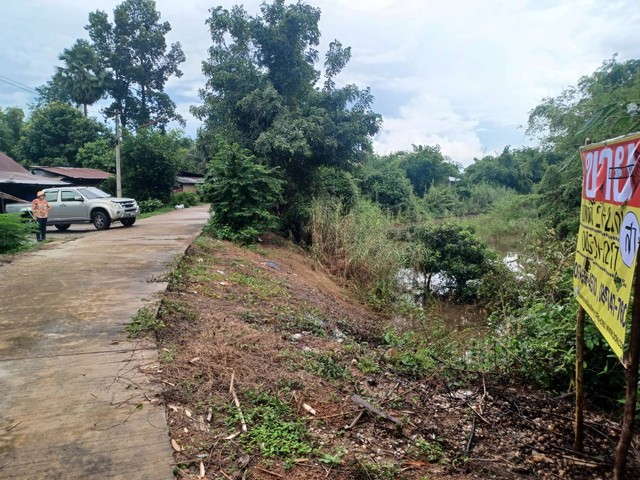 ขายด่วนที่ดินเปล่า  2-2-0  ไร่ ติดกับคลองเมือง   ต.วังพิกุล  อ.วังทอง  จ.พิษณุโลก  ZK181