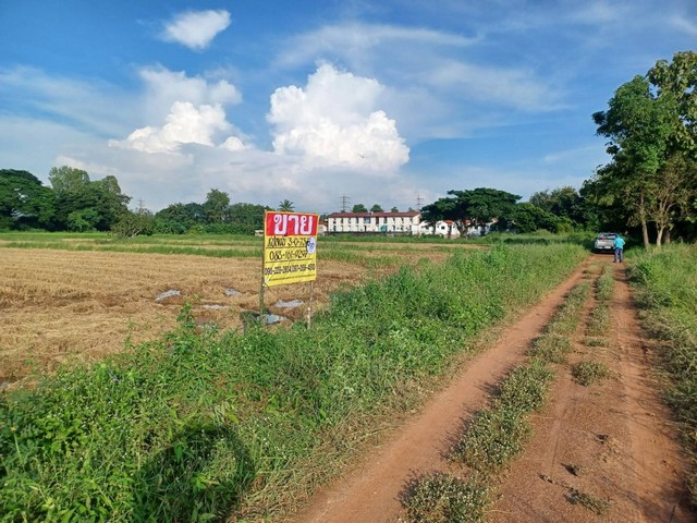 ขายด่วนที่ดินเปล่า 3-0-73  ไร่ ล้อมรอบด้วยหอพัก  รีสอร์ท ต.ท่าโพธิ์ อ.เมือง จ.พิษณุโลก  ZK202