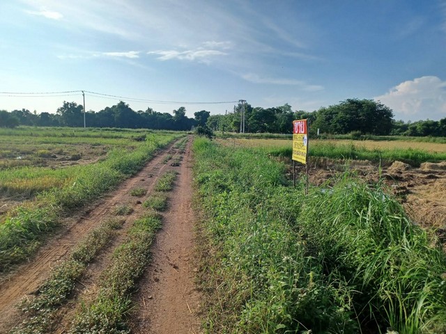 ขายด่วนที่ดินเปล่า 3-0-73  ไร่ ล้อมรอบด้วยหอพัก  รีสอร์ท ต.ท่าโพธิ์ อ.เมือง จ.พิษณุโลก  ZK202