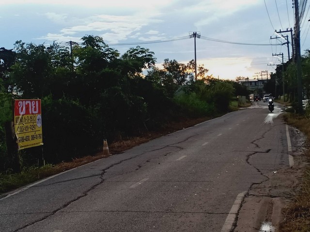 ขายด่วนที่ดินทำเลดี 6-0-88  ไร่ ล้อมรอบด้วยบ้านจัดสรร  ต.ในเมือง อ.เมือง จ.พิษณุโลก  ZK206