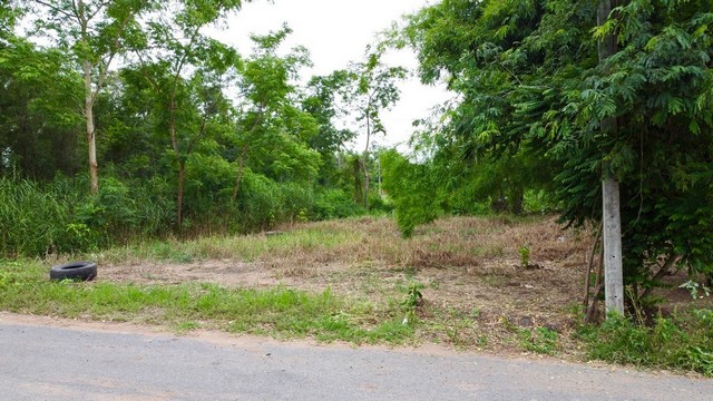 ที่ดินคลอง9 บึงบอน18 หนองเสือ ปทุมธานี ขนาด120 ตร.ว
