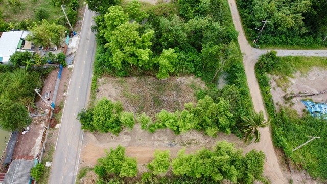 ที่ดินคลอง9 บึงบอน18 หนองเสือ ปทุมธานี ขนาด120 ตร.ว